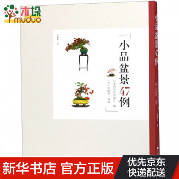 小品盆景47例 小品盆景47例