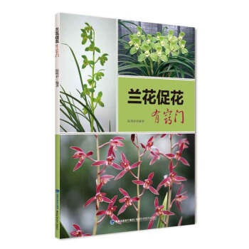 蘭花促花有竅門 蘭花促花有竅門