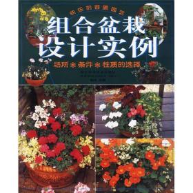 組合盆栽設(shè)計(jì)實(shí)例 組合盆栽設(shè)計(jì)實(shí)例
