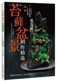 苔蘚盆景制作精選 苔蘚盆景制作精選