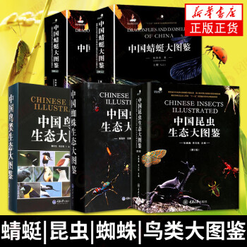 中國昆蟲生態大圖鑒 中國昆蟲生態大圖鑒