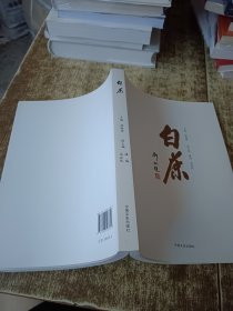 白茶 白茶
