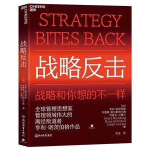 戰(zhàn)略反擊 戰(zhàn)略反擊