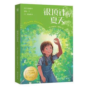 銀頂針的夏天 銀頂針的夏天