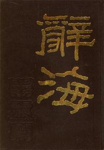 《辭海》讀后感300字：辭海無(wú)涯，知識(shí)之旅的啟航，探索智慧深淵的奇妙之旅！