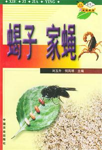 蝎子家蠅
