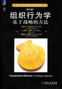 組織行為學(xué)基于戰(zhàn)略的方法 組織行為學(xué)基于戰(zhàn)略的方法