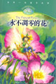 永不凋零的花 永不凋零的花