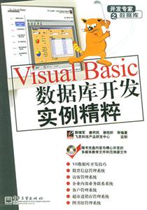 VisualBasic數據庫開發實例精粹 VisualBasic數據庫開發實例精粹
