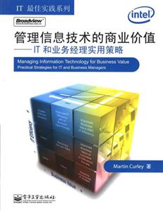 管理信息技術的商業價值:IT和業務經理實用策略 管理信息技術的商業價值:IT和業務經理實用策略