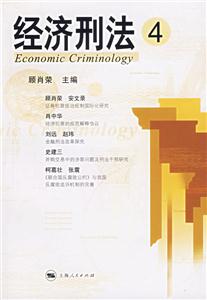 經(jīng)濟刑法4 經(jīng)濟刑法4