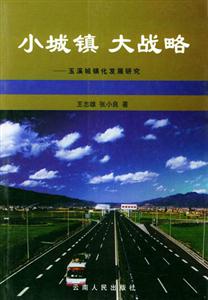 小城鎮大戰略 小城鎮大戰略