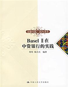 BaselII在中資銀行的實(shí)踐 BaselII在中資銀行的實(shí)踐