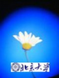 國(guó)際經(jīng)濟(jì)法學(xué)刊 國(guó)際經(jīng)濟(jì)法學(xué)刊
