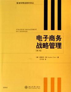電子商務(wù)戰(zhàn)略管理 電子商務(wù)戰(zhàn)略管理