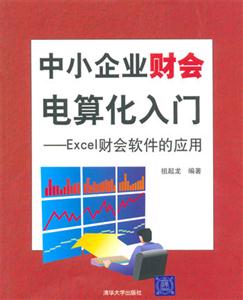 中小企業(yè)財會電算化入門Excel財會軟件的應(yīng)用:Excel財會軟件的應(yīng)用 中小企業(yè)財會電算化入門Excel財會軟件的應(yīng)用:Excel財會軟件的應(yīng)用
