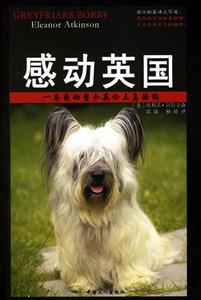 感動英國一條感動整個英倫三島的狗 感動英國一條感動整個英倫三島的狗