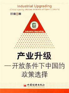 產(chǎn)業(yè)升級(jí)開(kāi)放條件下中國(guó)的政策選擇 產(chǎn)業(yè)升級(jí)開(kāi)放條件下中國(guó)的政策選擇