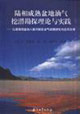 陸相成熟盆地油氣挖潛勘探理論與實踐以渤海灣盆地八面河探區(qū)油氣成藏研究與應(yīng)用為例 陸相成熟盆地油氣挖潛勘探理論與實踐以渤海灣盆地八面河探區(qū)油氣成藏研究與應(yīng)用為例