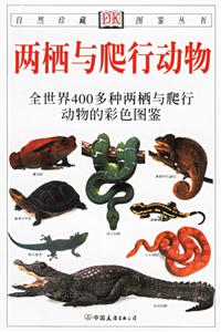 兩棲與片爬行動(dòng)物全世界400多種兩棲與爬行動(dòng)物的彩色圖鑒 兩棲與片爬行動(dòng)物全世界400多種兩棲與爬行動(dòng)物的彩色圖鑒