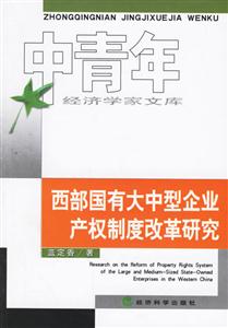 西部國有大中型企業(yè)產(chǎn)權(quán)制度改革研究 西部國有大中型企業(yè)產(chǎn)權(quán)制度改革研究