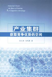 產(chǎn)業(yè)集群獲取競爭優(yōu)勢的空間 產(chǎn)業(yè)集群獲取競爭優(yōu)勢的空間