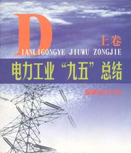 電力工業(yè)九五總結(jié) 電力工業(yè)九五總結(jié)