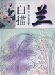 蘭白描 蘭白描
