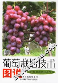 葡萄栽培技術(shù)圖說 葡萄栽培技術(shù)圖說