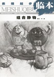 設計素描美術培訓規(guī)范教學 設計素描美術培訓規(guī)范教學