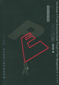 民企老板管理突圍經(jīng)濟與管理系列研究叢書 民企老板管理突圍經(jīng)濟與管理系列研究叢書