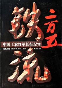 《鐵流二萬五》讀后感1000字：二萬五千里的鐵血征程，人物與情感的激蕩，一場關于信念與挑戰的深度揭秘！