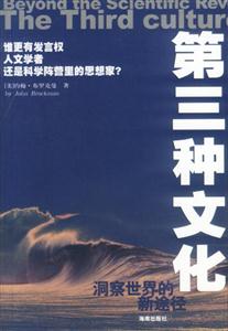 《第三種文化洞察世界的新途徑》讀后感400字：第三種文化的神秘面紗，人物思維的碰撞與融合，一場(chǎng)關(guān)于新視角與洞察力的探索之旅！