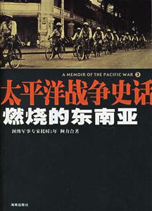 《燃燒的東南亞》讀后感400字：戰(zhàn)火中的情感糾葛，人物命運的沉浮，一場關(guān)于熱情與沖突的深度探索！
