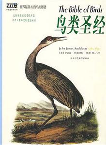 世界最偉大的鳥類圖譜鳥類圣經 世界最偉大的鳥類圖譜鳥類圣經