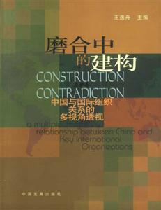 《磨合中的建構》讀后感800字：成長的旋律，揭示個人與社會互動的奧秘！