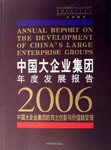 中國(guó)大企業(yè)集團(tuán)年度發(fā)展報(bào)告2006中國(guó)大企業(yè)集團(tuán)的自主創(chuàng)新與價(jià)值鏈管理 中國(guó)大企業(yè)集團(tuán)年度發(fā)展報(bào)告2006中國(guó)大企業(yè)集團(tuán)的自主創(chuàng)新與價(jià)值鏈管理