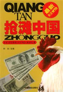 《搶灘中國》讀后感800字：商業(yè)浪潮，揭示外企在中國市場的競爭之道！