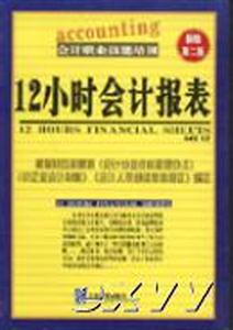 12小時會計報表新編會計實務(wù)系列