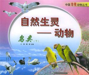 自然生靈動物 自然生靈動物