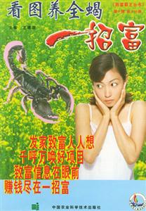 種草養(yǎng)兔一招富 種草養(yǎng)兔一招富