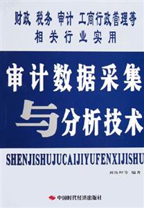 審計數(shù)據(jù)與分析技術(shù) 審計數(shù)據(jù)與分析技術(shù)