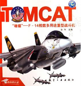 雄貓F(tuán)14艦載多用途重型戰(zhàn)斗機(jī)