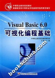 VisualBasic60可視化編程基礎(chǔ) VisualBasic60可視化編程基礎(chǔ)