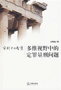多維視野中的定罪量刑問題審判中的智慧 多維視野中的定罪量刑問題審判中的智慧