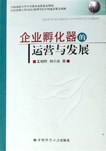 企業(yè)孵化器的運(yùn)營與發(fā)展 企業(yè)孵化器的運(yùn)營與發(fā)展