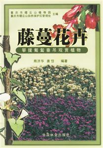 藤蔓花卉攀援匍匐垂吊觀賞植物 藤蔓花卉攀援匍匐垂吊觀賞植物