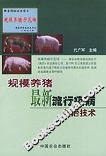 規模養豬最新流行疫病防治技術 規模養豬最新流行疫病防治技術