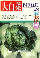 大白菜四季優(yōu)質高效栽培 大白菜四季優(yōu)質高效栽培