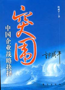 突圍中國(guó)企業(yè)戰(zhàn)略抉擇 突圍中國(guó)企業(yè)戰(zhàn)略抉擇